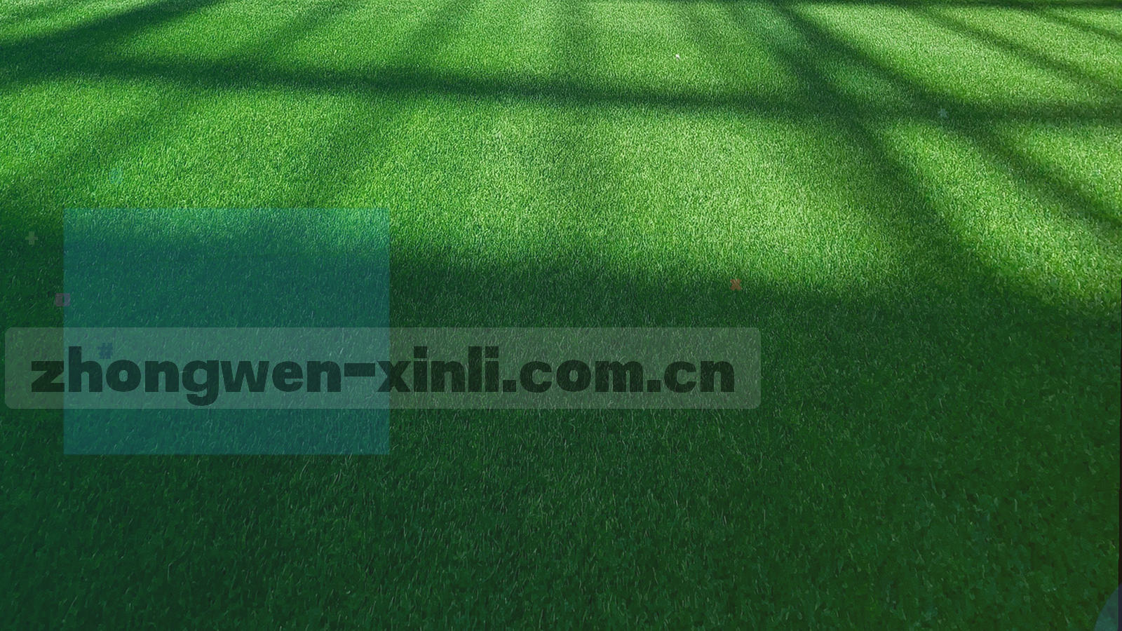桌面端订阅面板界面示意，左侧筛选栏与右侧赛事列表并列